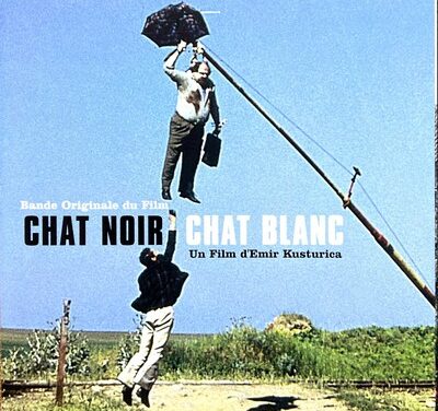 Chat noir chat blanc