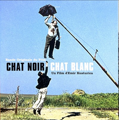 Chat noir chat blanc