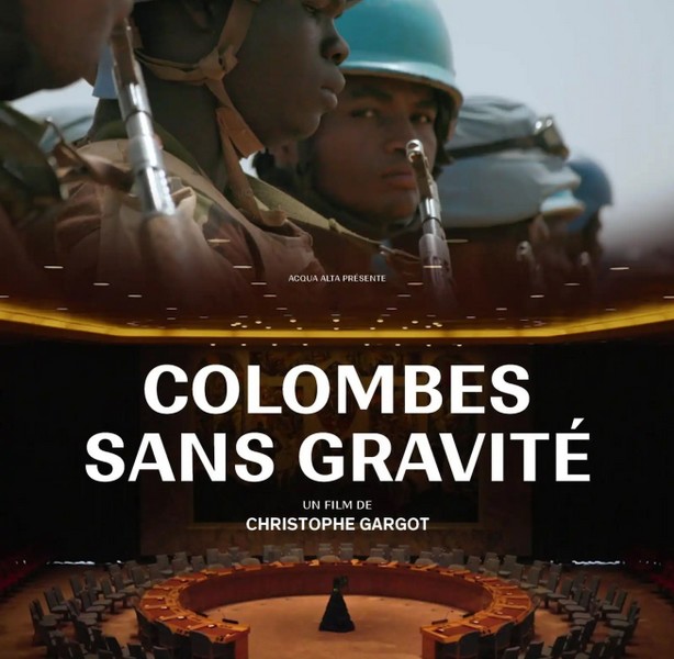 Colombes sans gravité