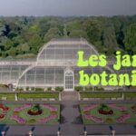 Les jardins botaniques : un sanctuaire pour la flore