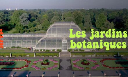 Image illustrant l'article logo_jardins de Clio Ciné