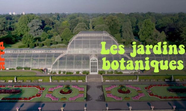 Les jardins botaniques : un sanctuaire pour la flore