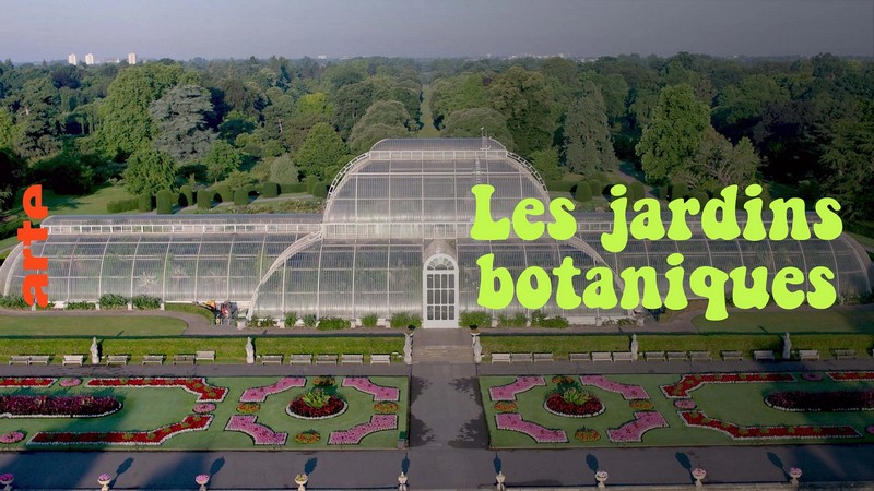 Les jardins botaniques : un sanctuaire pour la flore