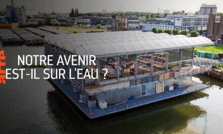 Image illustrant l'article bandeau_avenir_eau de Clio Ciné