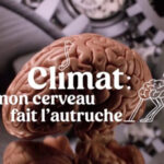 Climat : mon cerveau fait l’autruche