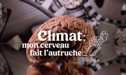 Image illustrant l'article Climat_mon_cerveau_fait_l_autruche-474131080-large-1024x576 de Clio Ciné