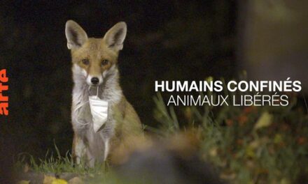 Image illustrant l'article bandeau_humains de Clio Ciné