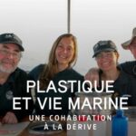 Plastique et vie marine : une cohabitation à la dérive