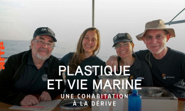 Plastique et vie marine : une cohabitation à la dérive