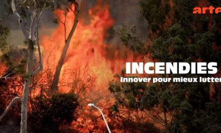 Image illustrant l'article bandeau_incendies de Clio Ciné