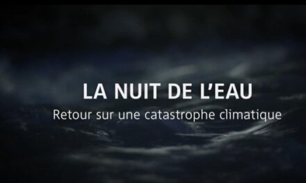 Image illustrant l'article logo_nuit_eau de Clio Ciné